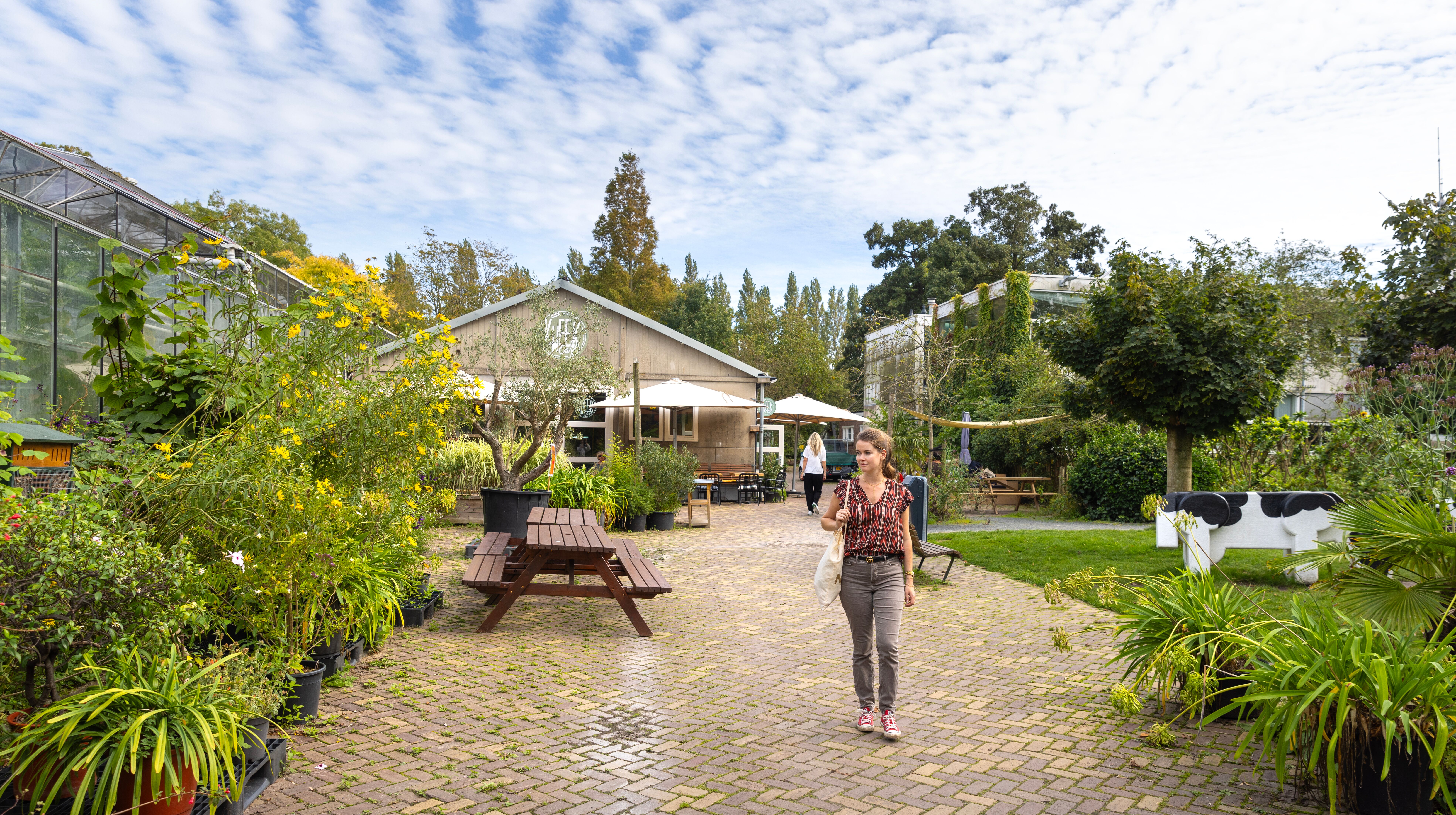 Haarlem most future-proof municipality