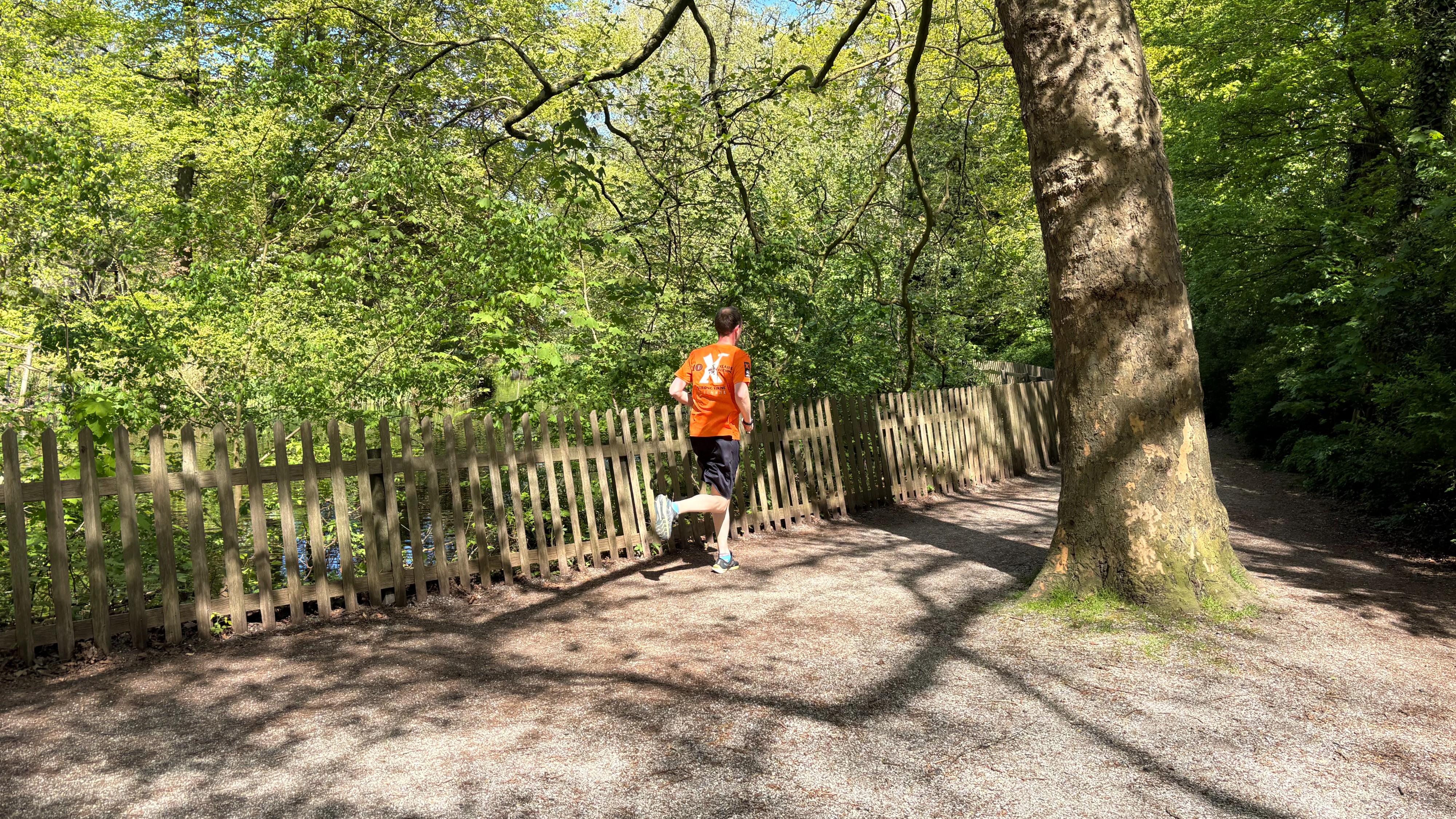 Investigation into trees in Haarlemmerhout and Frederikspark