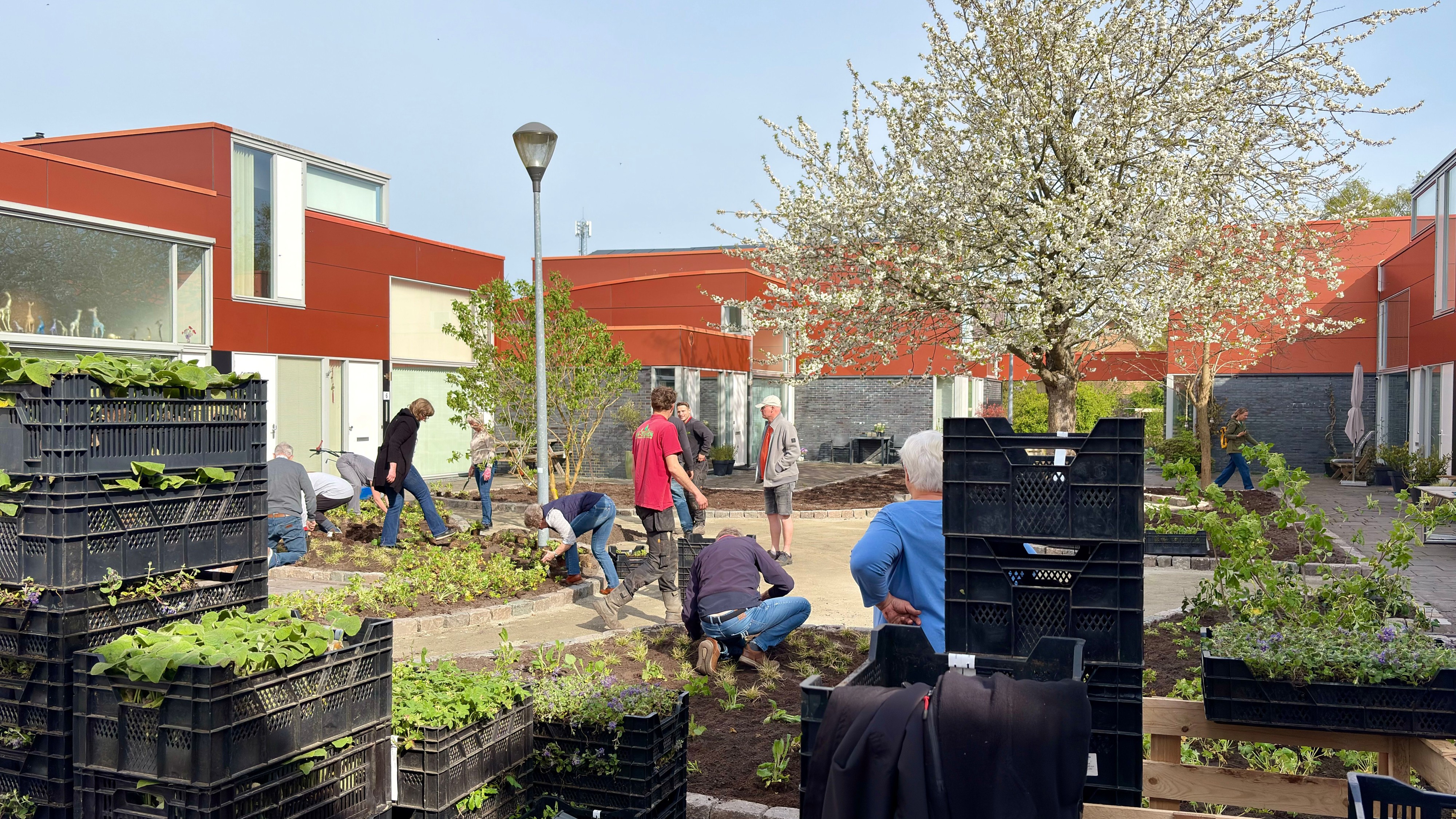 Residents in Schalkwijk make their neighborhood greener