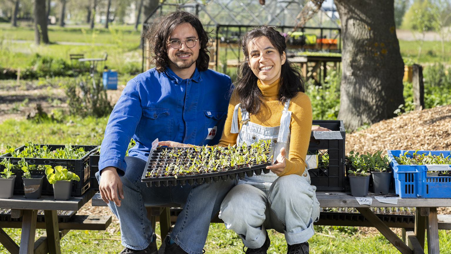Thriving neighborhood farm at Nieuweweg 2