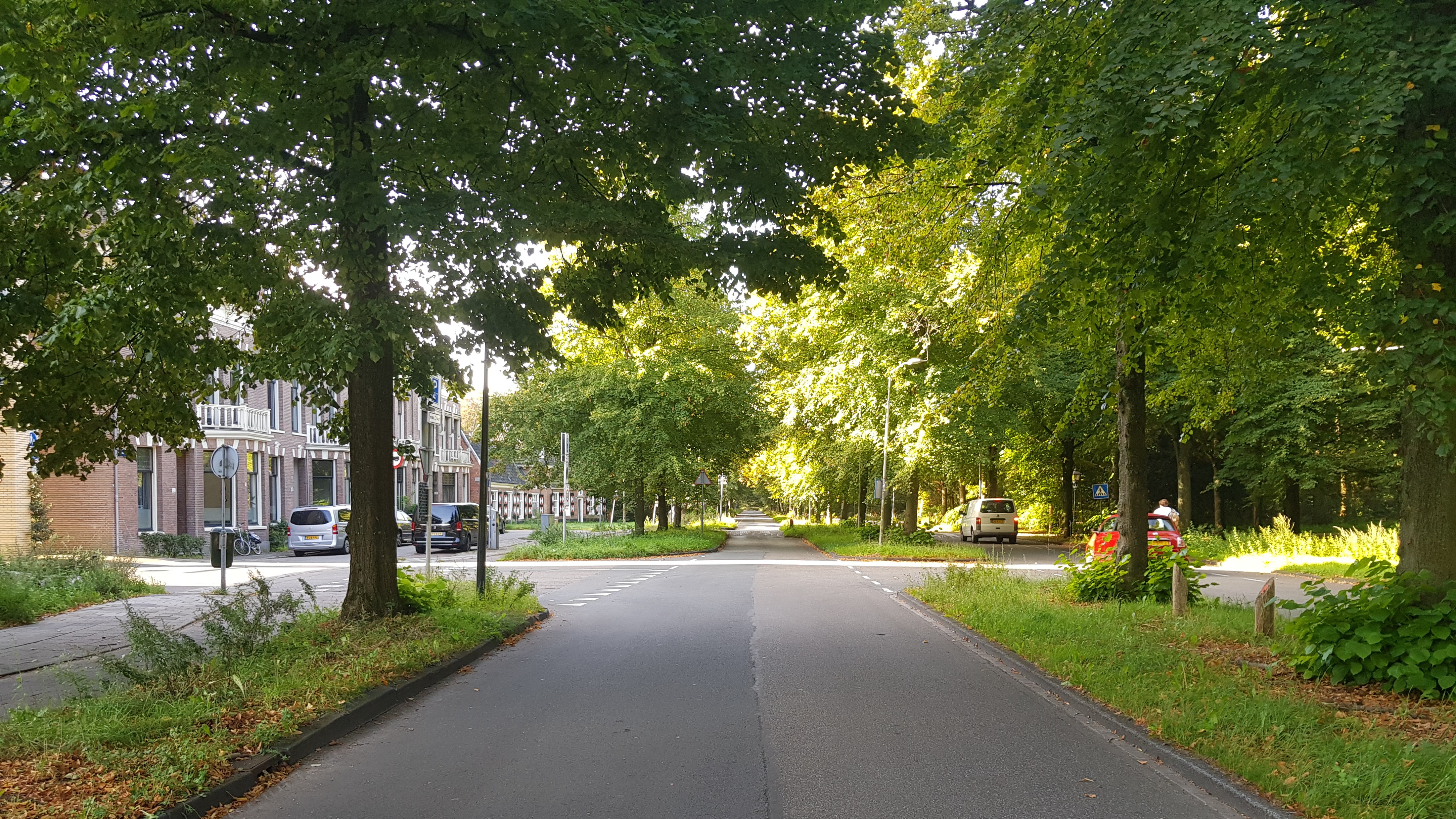 More room for greenery and cyclists on the Kleine Houtweg