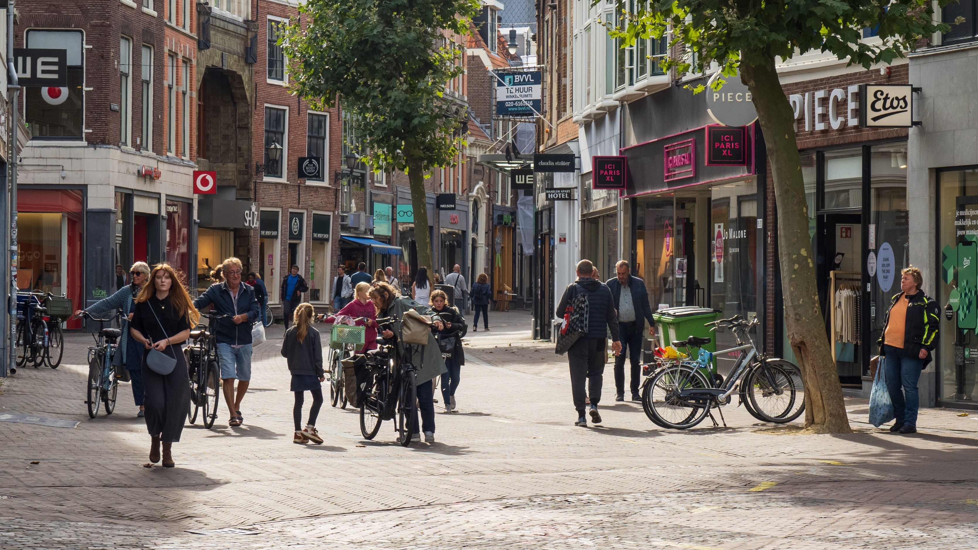Which Haarlem resident deserves a royal decoration, in your opinion?