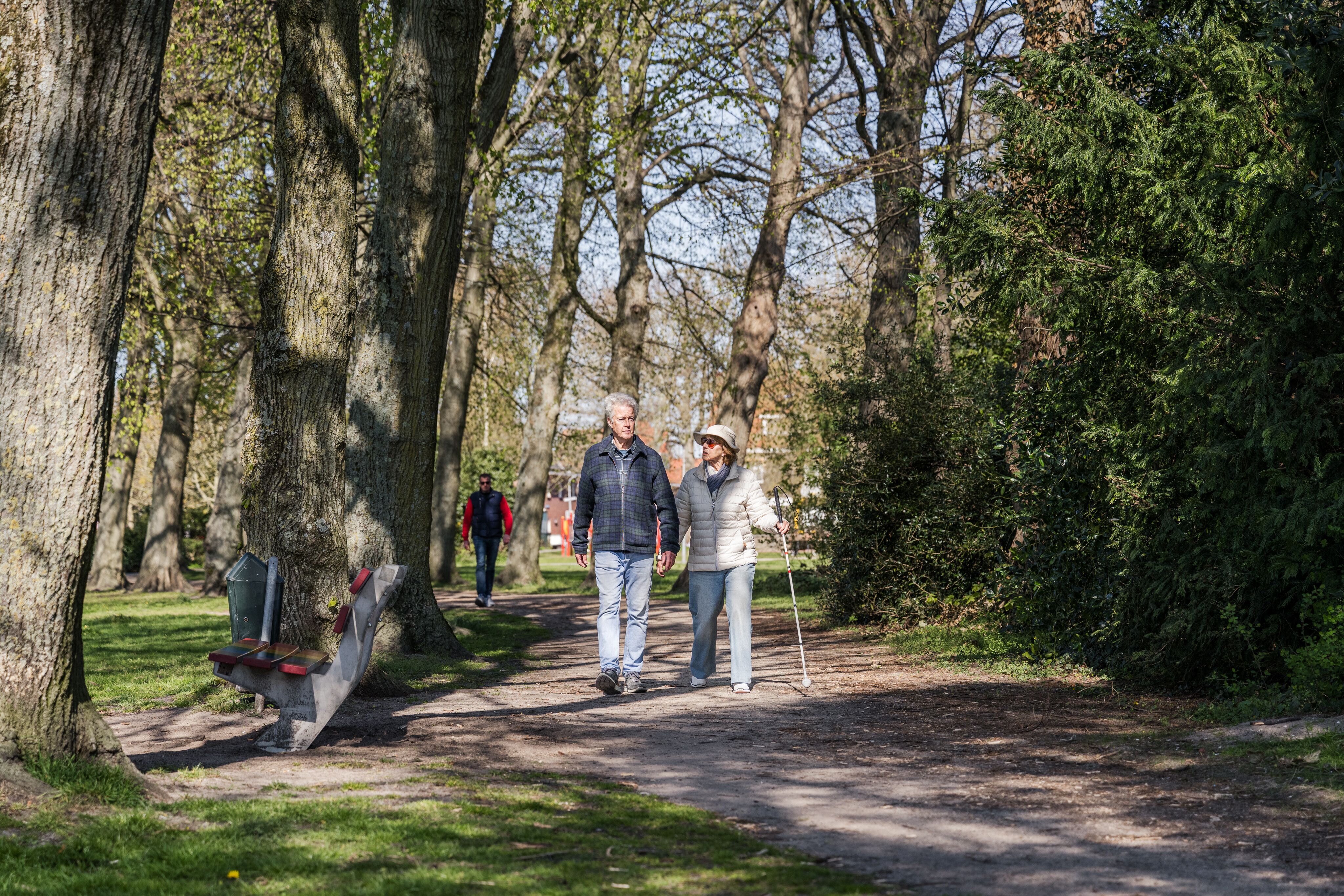 Help me make Haarlem accessible