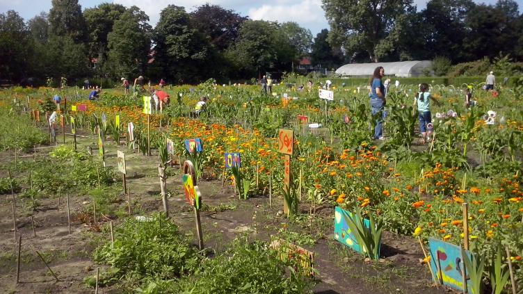 Cornelia Westendorp Tuin 