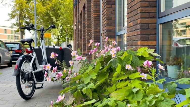 Bloemen en groen in een Haarlemse straat