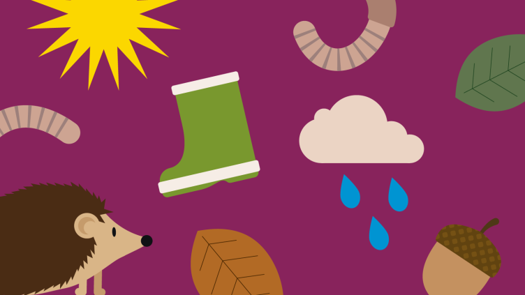 Tekening met een zon, egel, laars en regenwolk