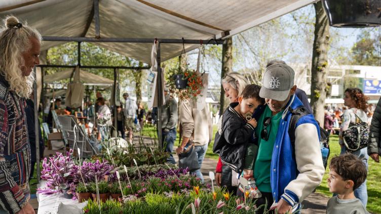 Plantverkoop tijdens het Springerfestival