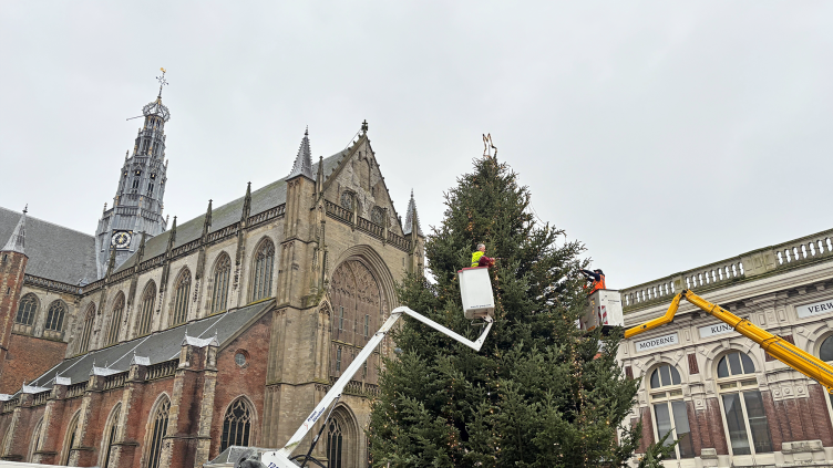 Medewerkers van Spaarnelanden hangen lampjes in de kerstboom