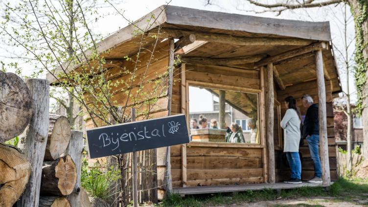 Bijenstal op de Kweektuin. Foto door Koen van der Lee