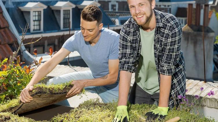 2 mannen maken hun dak groener