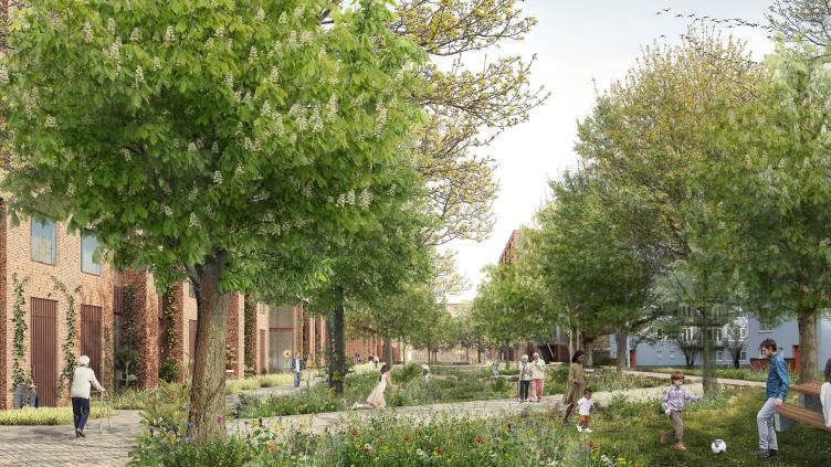 Impressie van het groen op de Prinses Beatrixdreef