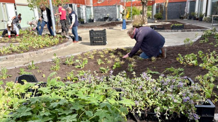 bewoners vergroenen de buurt