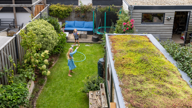 Groen dak en groene tuin 