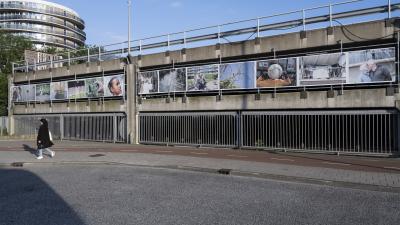 Kunst opgehangen aan de autogarage naast het Winkelcentrum Schalkwijk. Foto door Marisa Beretta