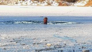 Anke Brinkman zwemt tussen de ijsschotsen. 
