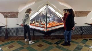 Drie mensen bekijken een vitrine in het Archeologisch Museum