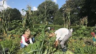 Schooltuin voorbeeld