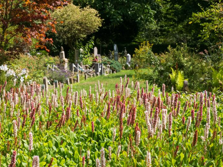 Begraafpark Kleverlaan