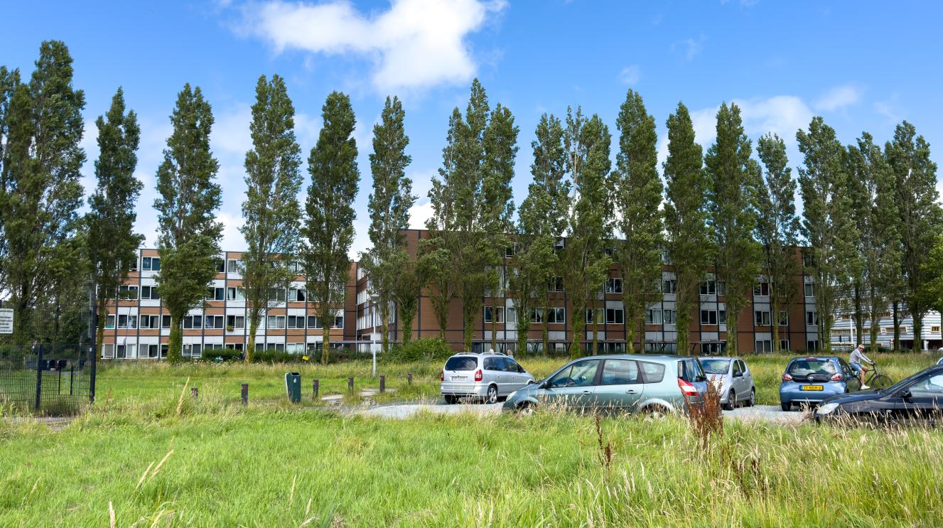 Grasveld en parkeerplaats op de plek waar straks nieuwe woningen komen