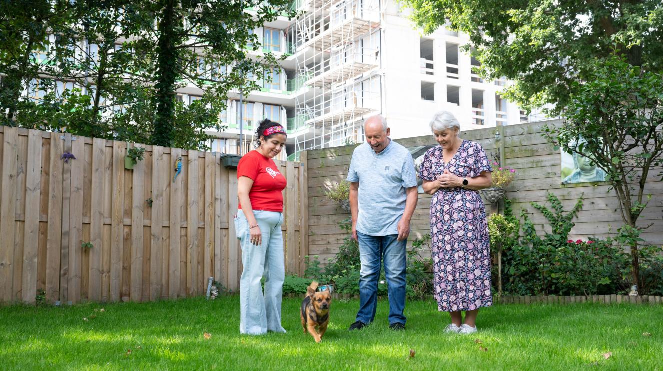 3 Haarlemmers staan op een grasveld, ze kijken naar een hond.