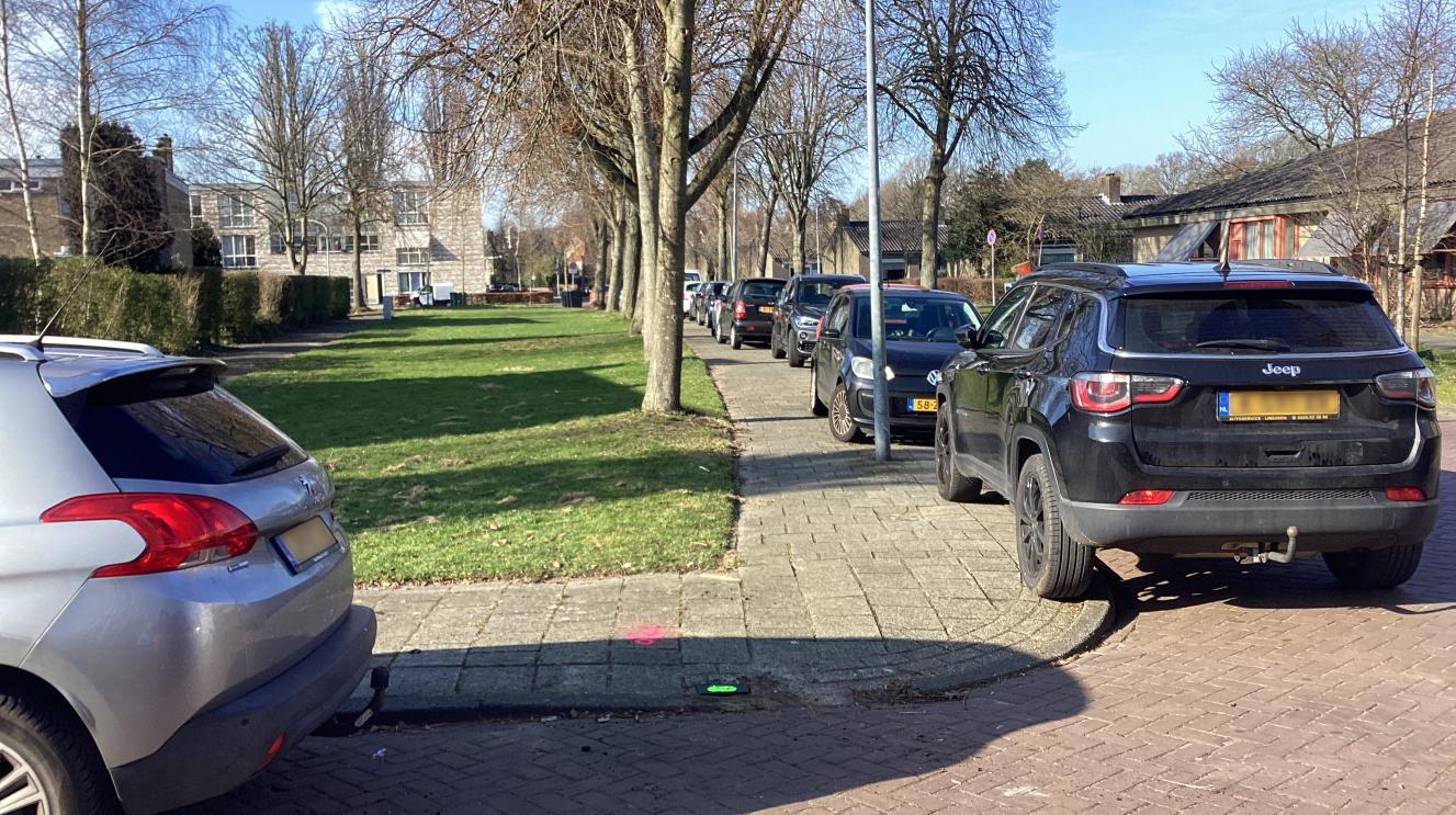 Geparkeerde auto's langs de Pieter Wantelaan