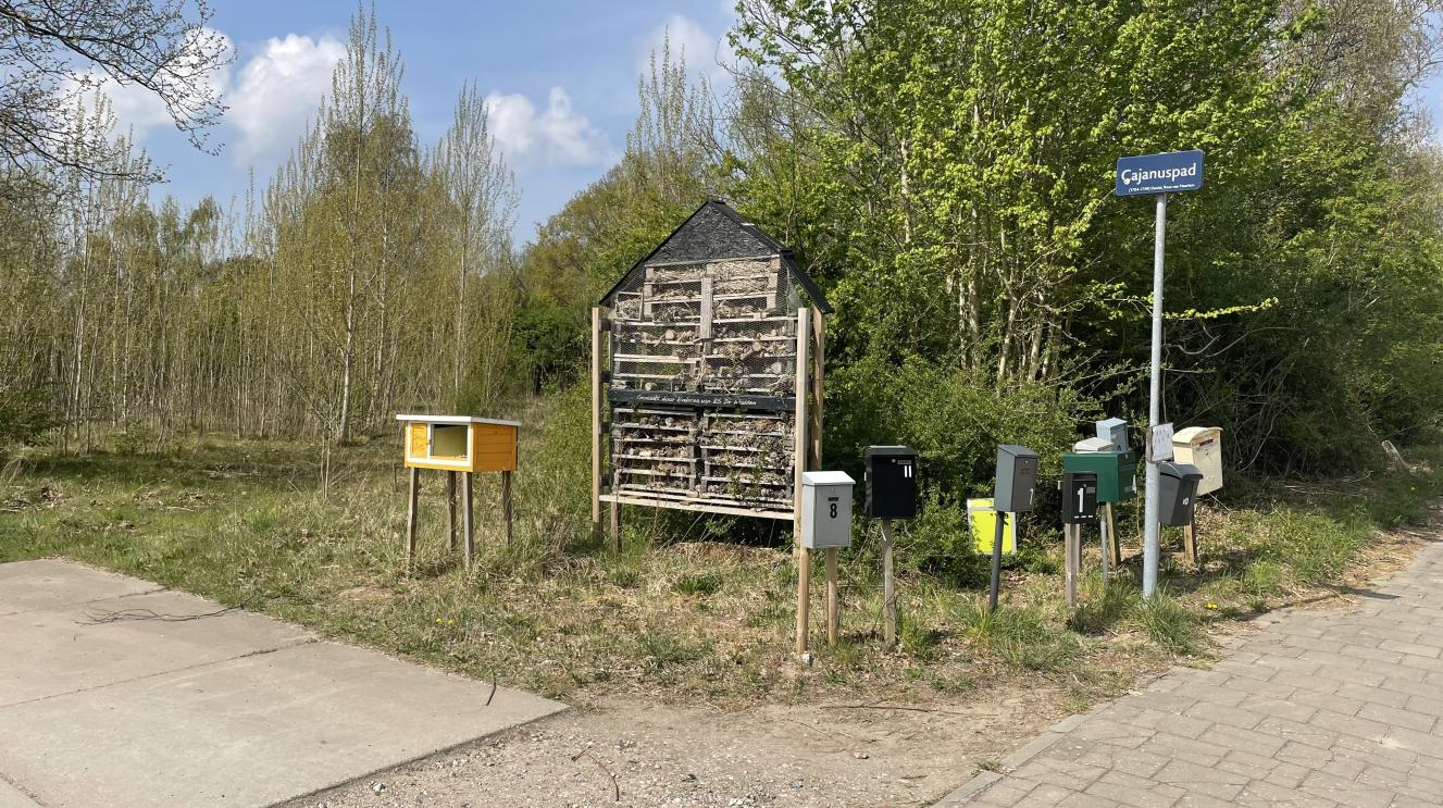Ingang van het terrein aan de Zwemmerslaan met brievenbussen en een insectenhotel