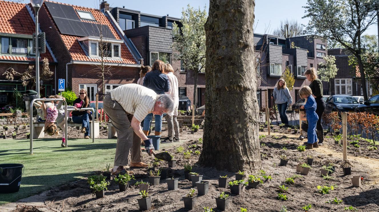 Haarlemse buurtbewoners die tuinieren in hun buurt in de openbare ruimte.