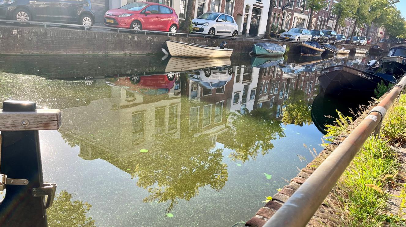 Bakenessergracht met groene waas over het water