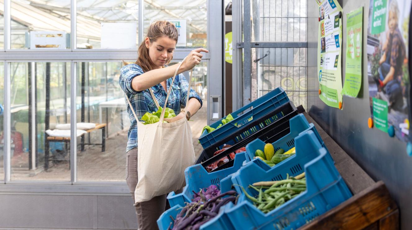 Vrouw pakt groenten uit een bak op de Kweektuin