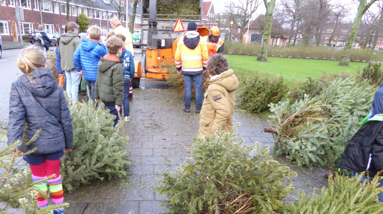 Kinderen leveren kerstbomen in