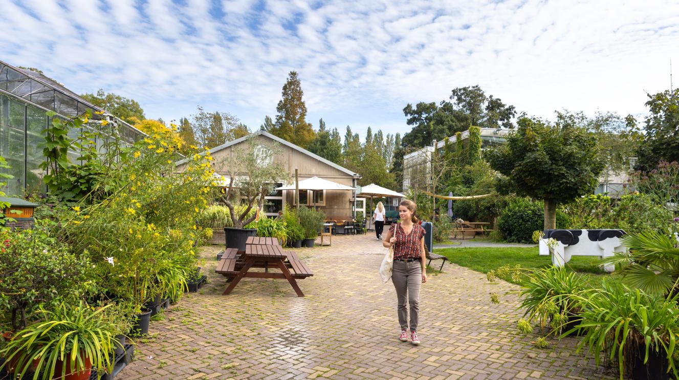 Vrouw wandelt op de Kweektuin