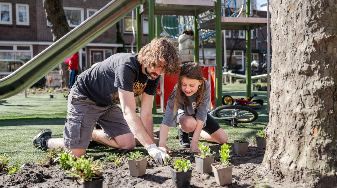 Bewoners vergroenen hun buurt