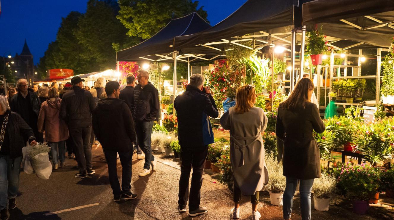 Bezoekers kijken naar plantjes op de nachtelijke luilakmarkt