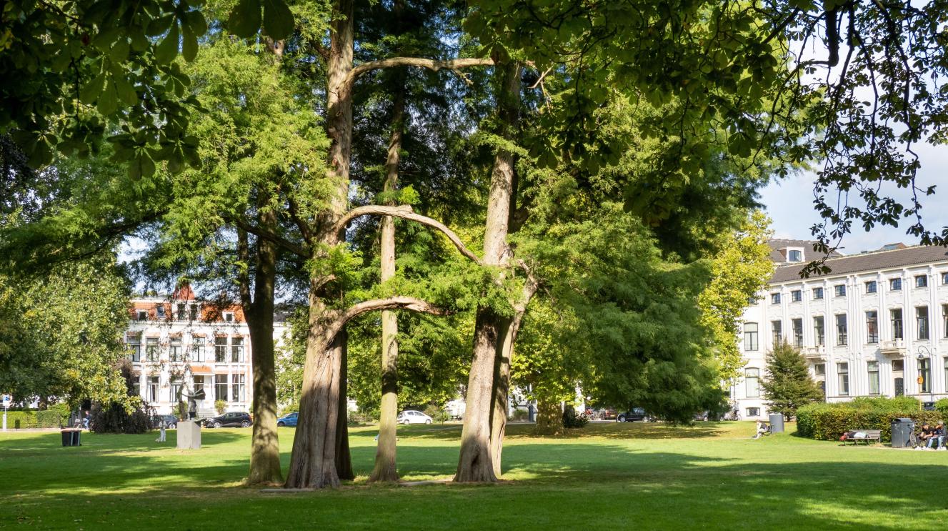 Bomen in het Kenaupark