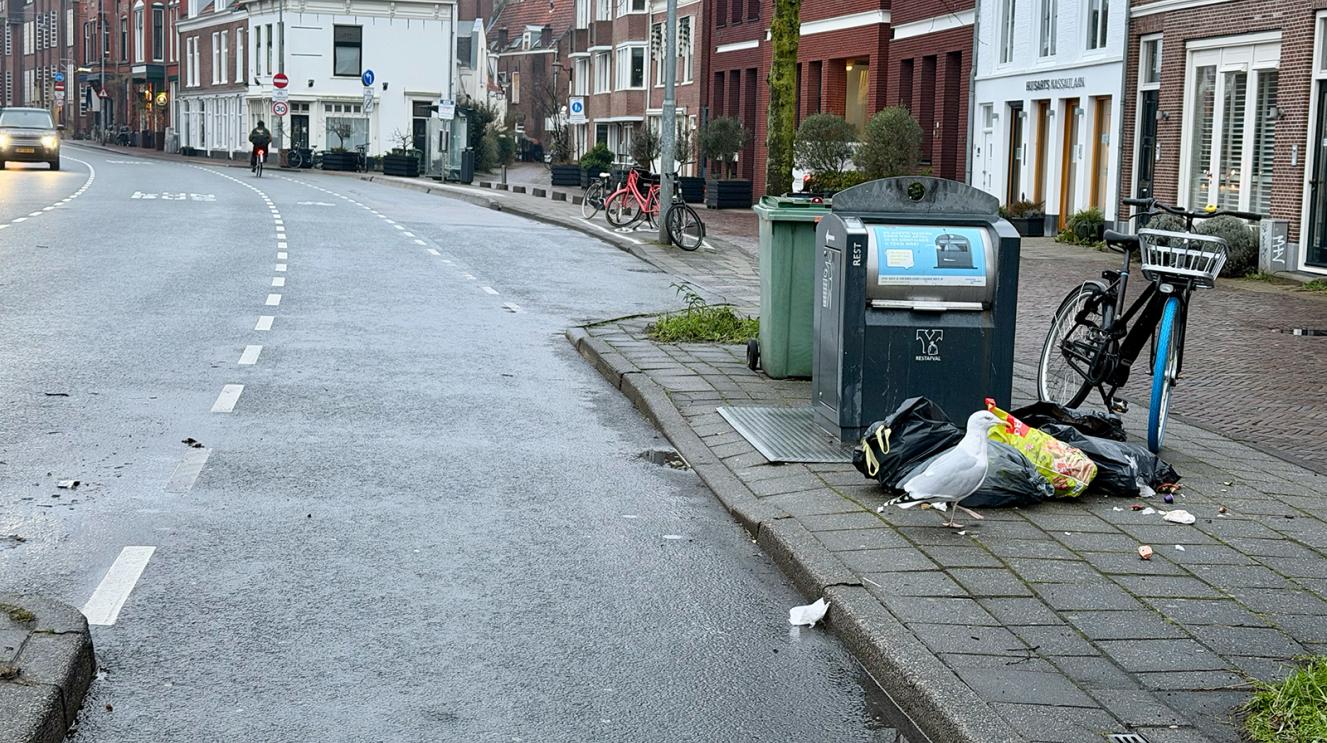 Vuilnis op de Nassaulaan