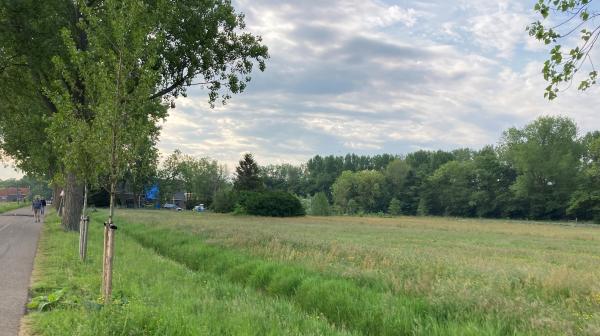 Domus Plus locatie, foto van een grasveld