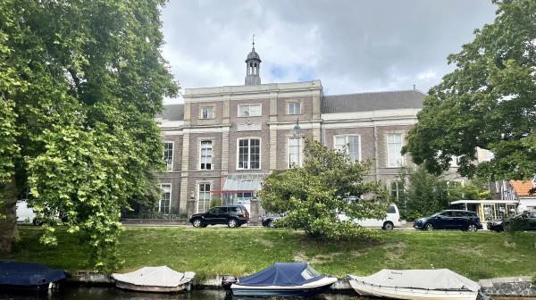 Egelantier in centrum van Haarlem