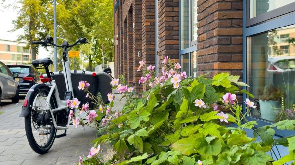 Bloemen en groen in een Haarlemse straat