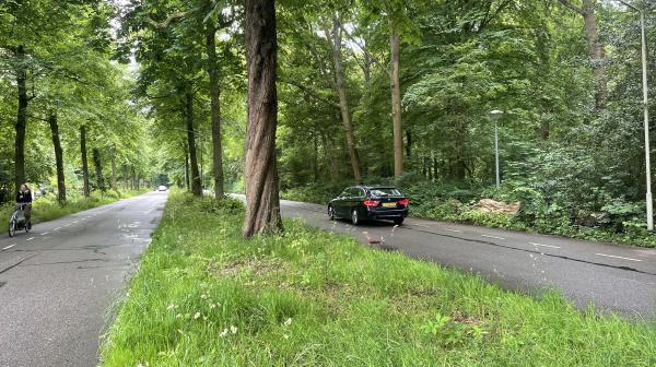 Kleine Houtweg ter hoogte van de Haarlemmerhout