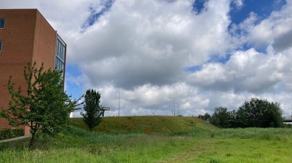 Grasveld in Haarlem-Oost naast de fly-over naar de Waarderpolder