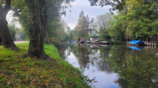 Groen langs de Korte Verspronckweg