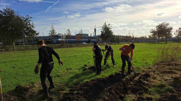 Vrijwilligers graven zaailingen uit om aan Haarlemmers uit te delen